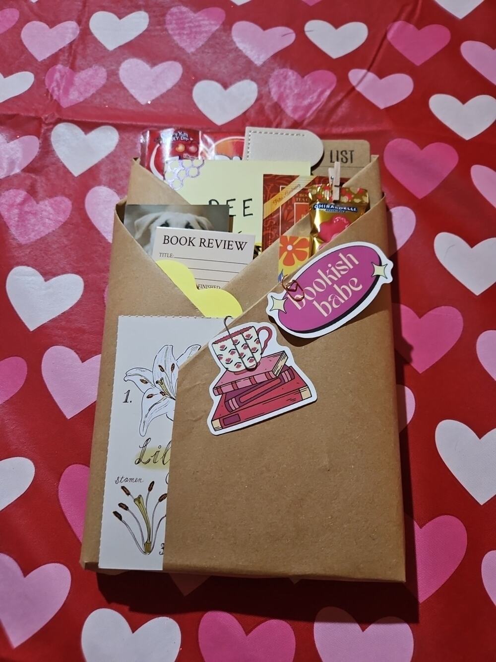 Blind Date With A Book Bookish Bundle #8- Adult Historical Fiction/Romance/Drama